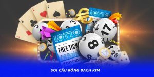 Soi Cầu Rồng Bạch Kim – Góc Nhìn Mới Trong Phân Tích Xổ Số